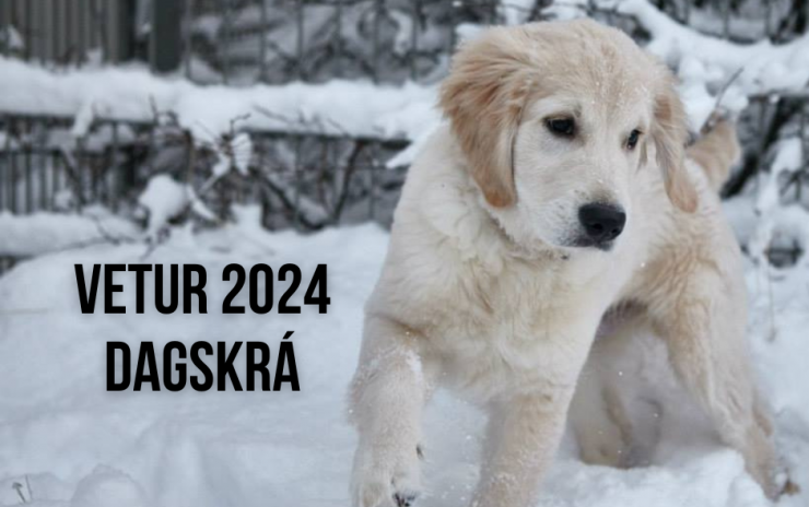 Námskeið vetur 2024