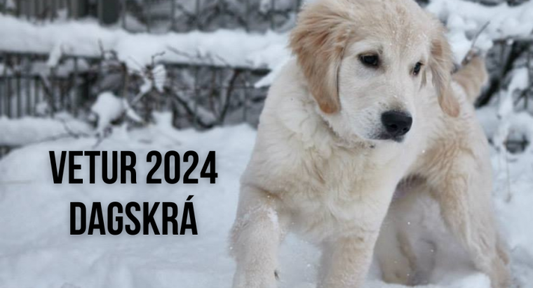 Námskeið vetur 2024